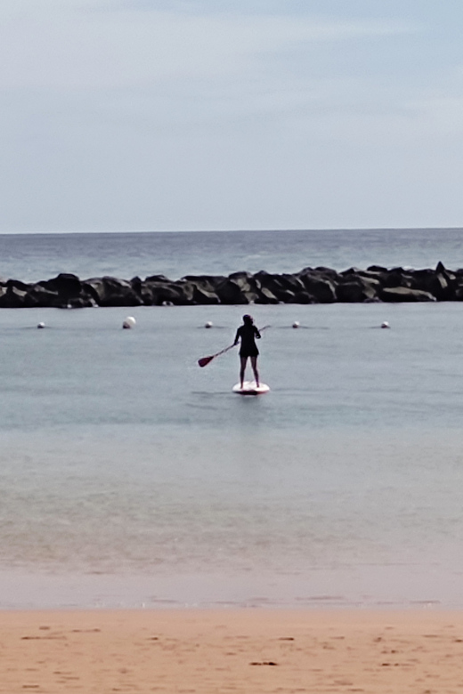 Santa Cruz de Tenerife: Las Teresitas Stand Up Paddle Course - Group Size, Language, and Timing