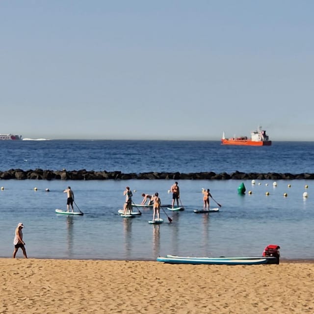 Santa Cruz de Tenerife: Las Teresitas Stand Up Paddle Course - The 20-Minute Lesson With the Instructor