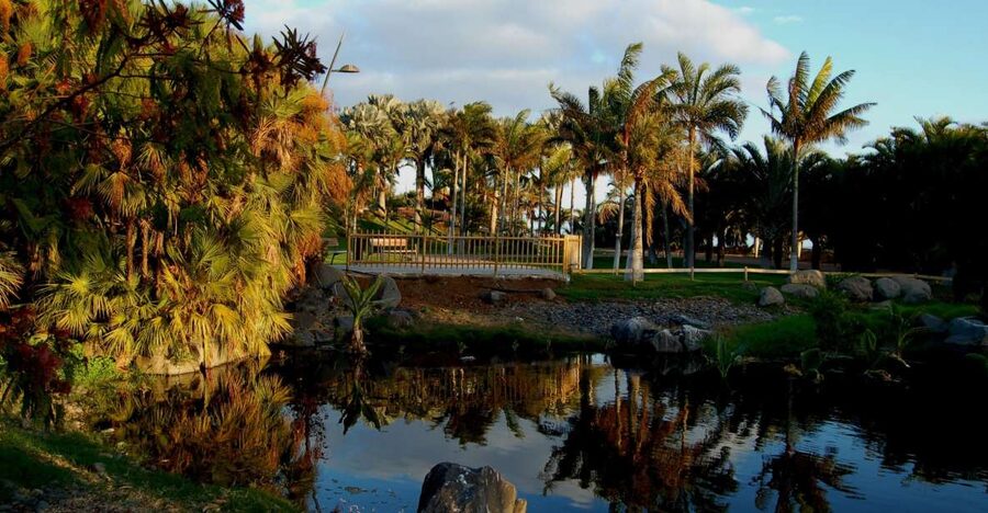 Santa Cruz de Tenerife Palmetum Entry Ticket - From rubbish dump to botanical garden