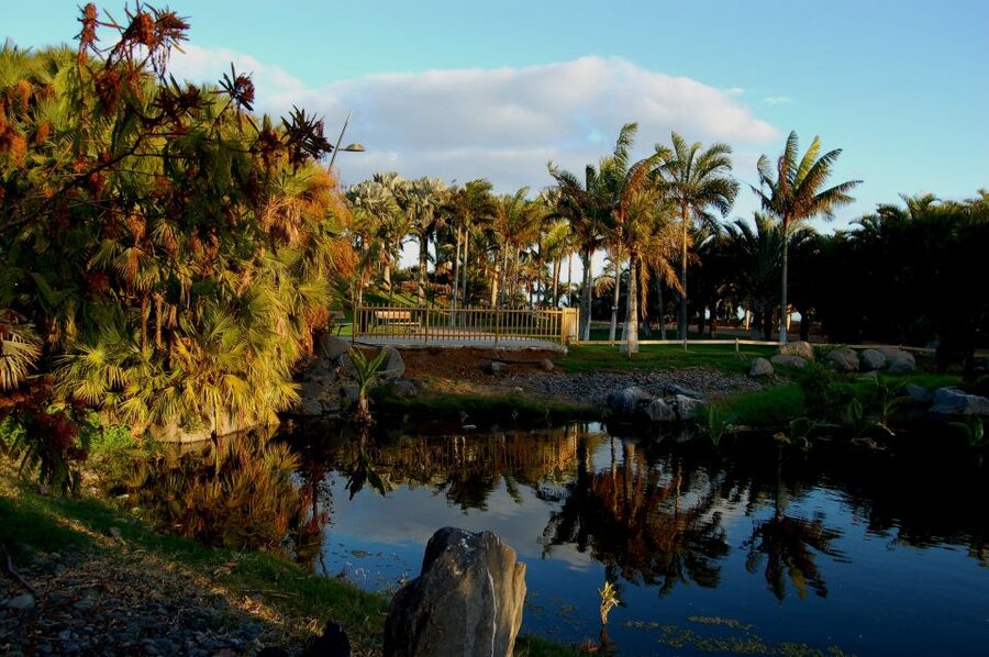 Santa Cruz de Tenerife Palmetum Entry Ticket - Follow the water, rocks, and garden paths