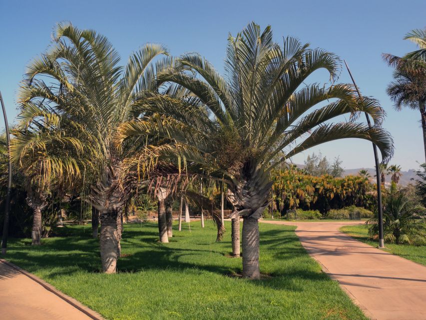Santa Cruz de Tenerife Palmetum Entry Ticket - Who will enjoy the Palmetum most?