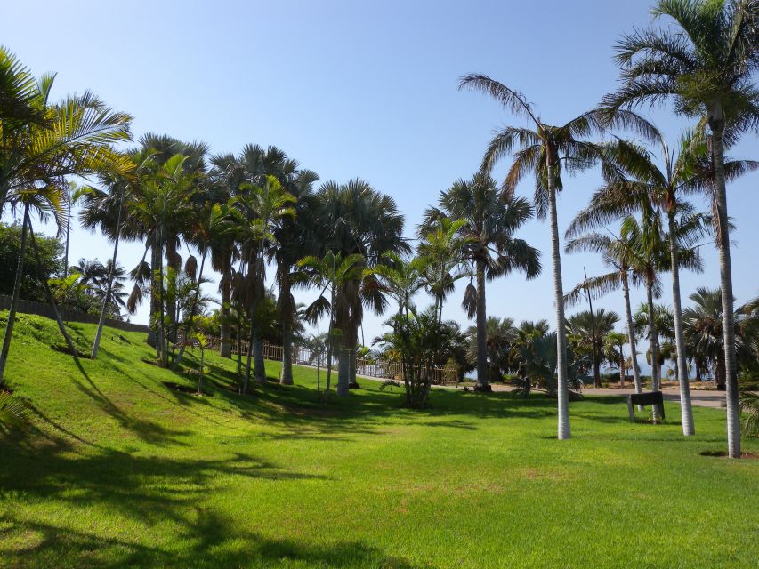 Santa Cruz de Tenerife Palmetum Entry Ticket - Start with the palm collection