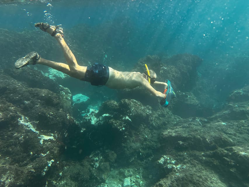 Scooter fun snorcel tour in turtle area - Families, couples, and first-time snorkelers