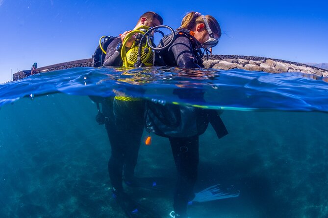 Scuba Diving Baptism Experience in Santa Cruz Tenerife - The first hour at Macaronesian Divers