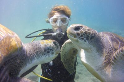 Scuba Diving Beginner’s Session in Costa Adeje