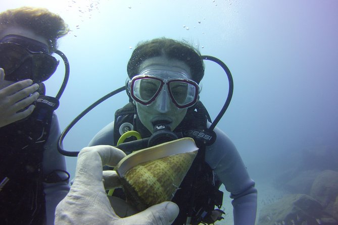 Scuba Diving Beginner's Session in Costa Adeje - The instructors are the main reason to consider it
