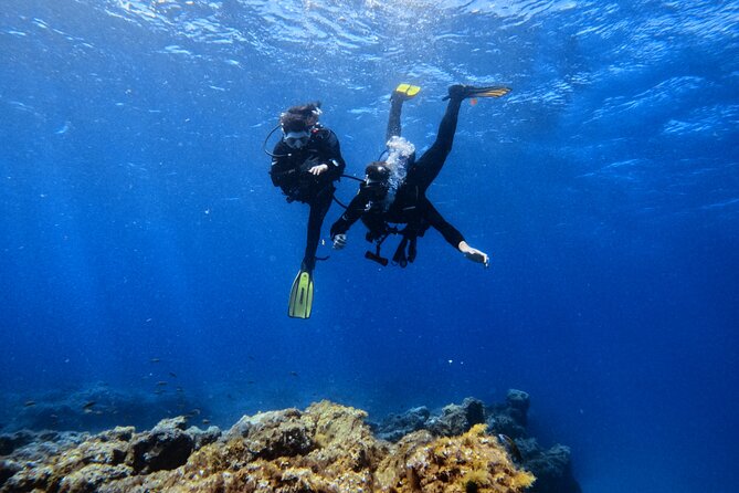 Scuba Experience in Tenerife with Guide - Shallow-water practice before the main visit
