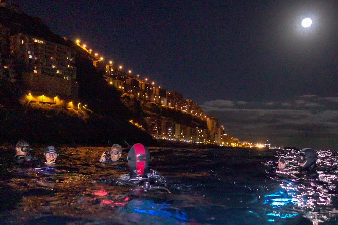 Scuba Night Dive on Tenerife - Key points at a glance