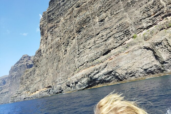 SEA SAFARI Dolphins, Whales, 3h speedboat DISCOVERY-TOUR - Food, drinks, and what you need to bring