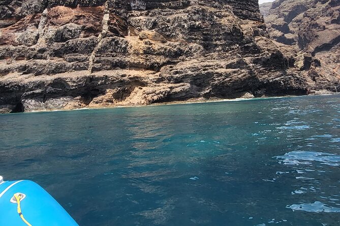 SEA SAFARI Dolphins, Whales, 3h speedboat DISCOVERY-TOUR - Is $78.10 a fair price?