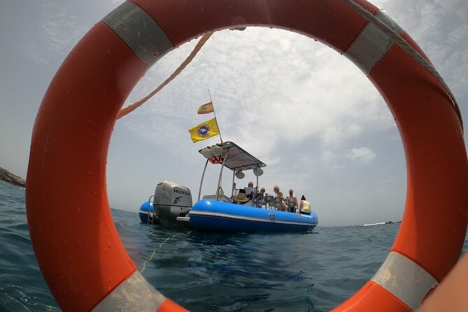 SEA SAFARI, Dolphins, Whales, snorkeling, snack and drink, 2 h speedboat - The swim and snorkel break