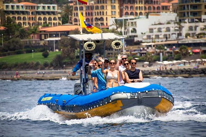 SEA SAFARI, Dolphins, Whales, snorkeling, snack and drink, 2 h speedboat - Searching for dolphins and whales
