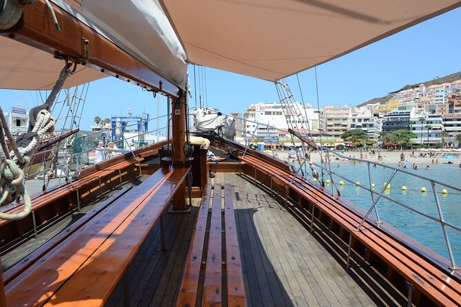 Sealife Dolphin & Whale Watching aboard Portuguese schooner - Key things to know before you book