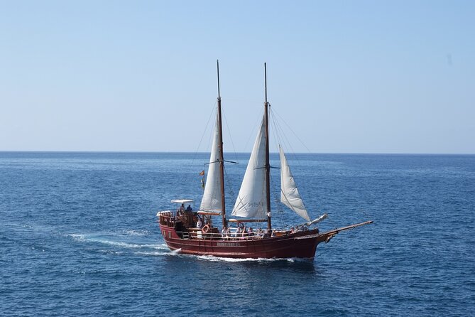 Sealife Dolphin & Whale Watching aboard Portuguese schooner - Sailing out of Los Cristianos at 10:00
