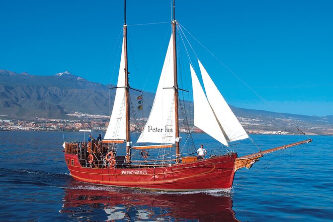 Sealife Dolphin & Whale Watching aboard Portuguese schooner - Is $57.96 a fair price?