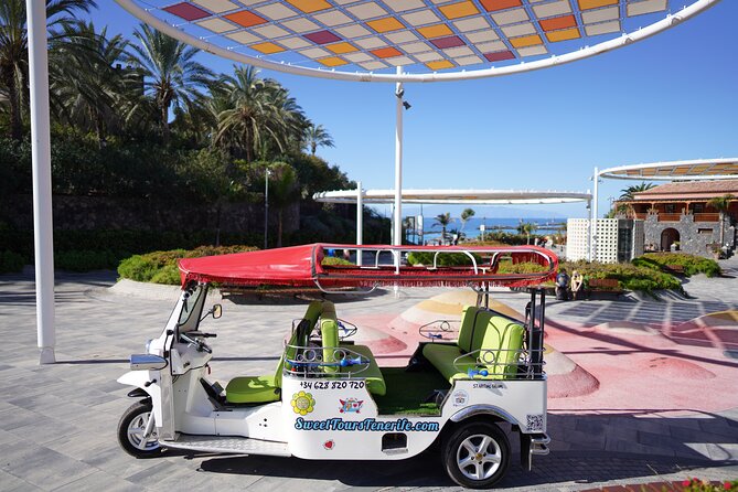 Secret Volcano Tour by Tuk Tuk in Costa Adeje - What this Costa Adeje tuk-tuk tour really offers