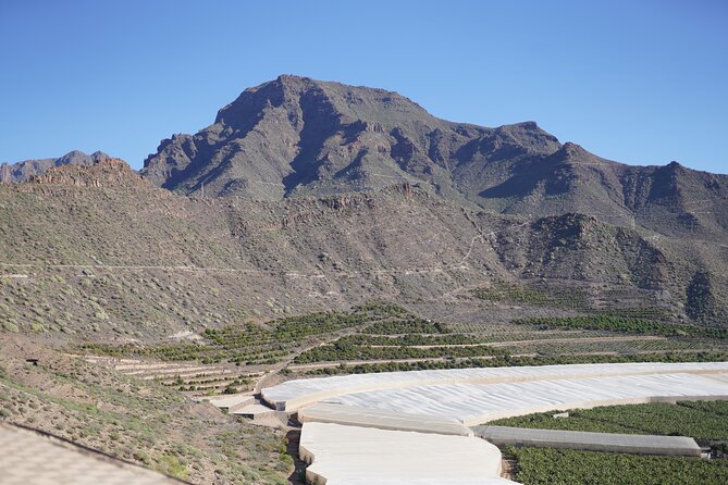 Secret Volcano Tour by Tuk Tuk in Costa Adeje - The guide makes or breaks the hour