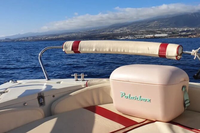 Self Drive Boat Rental in Costa Adeje Tenerife - What the safety briefing adds