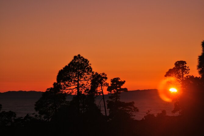 Self Drive Sunset & Stargazing in Teide National Park with Dinner - What the $78.09 price includes