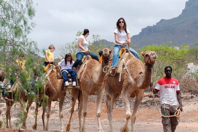 Skip the Line: Camel Park Tenerife Ticket - Weather and cancellation terms