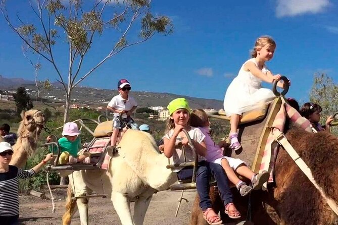 Skip the Line: Camel Park Tenerife Ticket - What the 25-minute visit includes