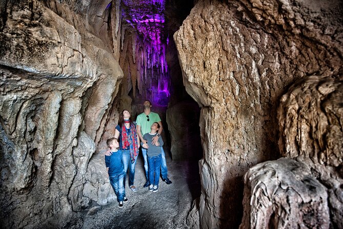 Skip the Line: Jungle Park Tenerife Entrance Ticket - Why the bird show is worth planning around