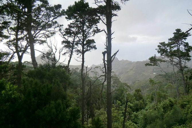 Small Group Guided Hiking in Anaga Rural Park in Tenerife - Why Anaga is worth your morning