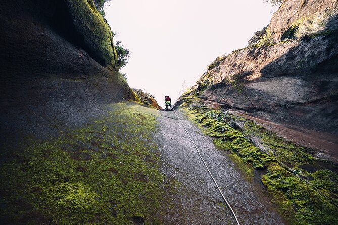 Small-Group Half-Day Canyoning in La Orotava - The 45-minute forest walk comes first