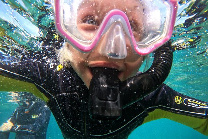 Small Group Snorkeling in Abades Bay with Licensed Guide - Extra time to explore the bay on your own
