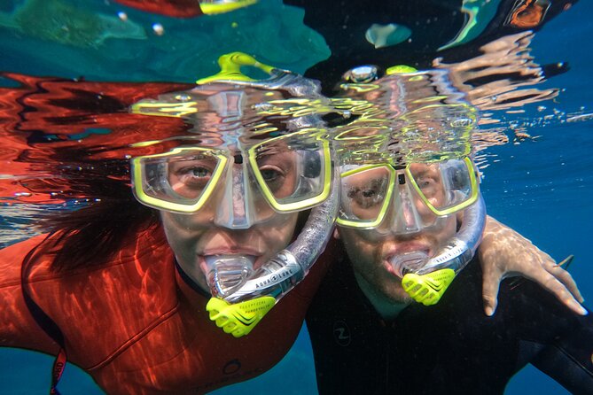 Small Group Snorkeling in Abades Bay with Licensed Guide - Timing, transport, and practical planning