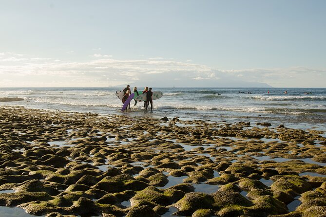 Small Group Surf Lesson in Playa de las Americas - What the price really gets you
