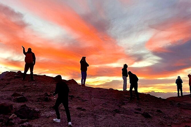Small Group Teide National Park Volcanic and Forest Wonders - Seeing Tenerife change from pine forest to black lava