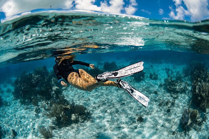 Snorkel Rental 24h, discover Tenerifes Ocean on your own! - Starting at Scubanana in Radazul