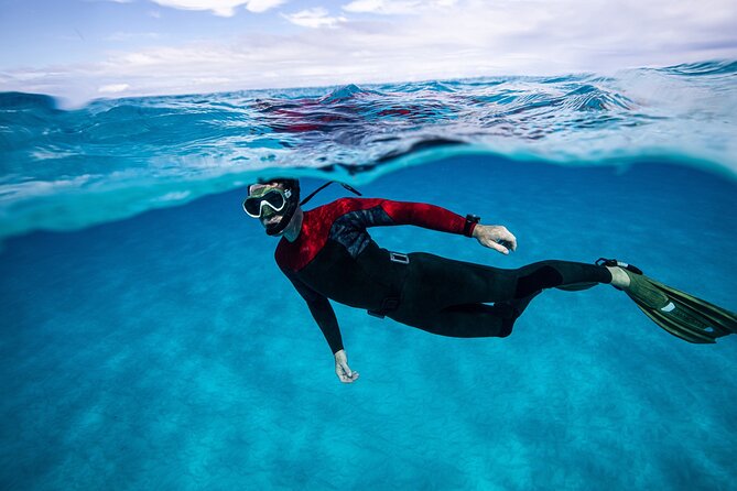 Snorkel Rental 24h, discover Tenerifes Ocean on your own! - Equipment quality and what the price covers