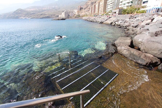 Snorkel Rental 24h, discover Tenerifes Ocean on your own! - Timing, transport, and the return to the center