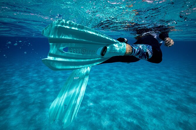 Snorkel Rental 24h, discover Tenerifes Ocean on your own! - Who should book this Radazul rental?
