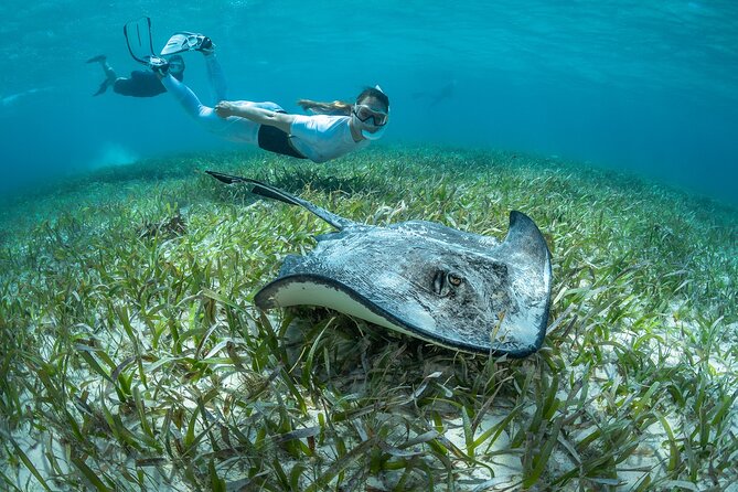Snorkel Rental 24h, discover Tenerifes Ocean on your own! - Your 24 hours with the equipment