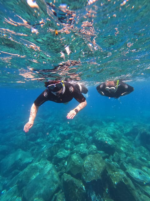 Snorkeling Boat Trip in Marine Turtles Natural Habitat - What happens before the boat leaves