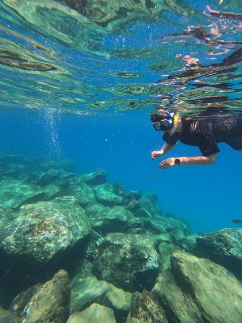 Snorkeling Boat Trip in Marine Turtles Natural Habitat - The speedboat ride to the snorkeling site