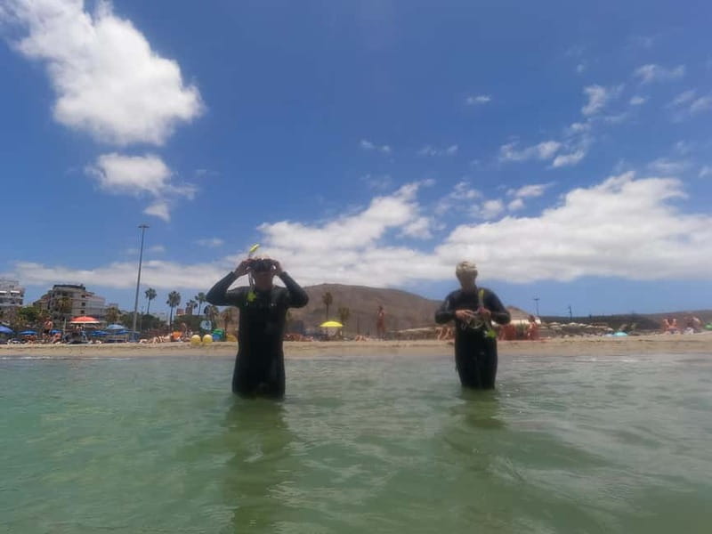 Snorkeling in tenerife south: Discover the underwater world - Exploring a sheltered marine area in Tenerife