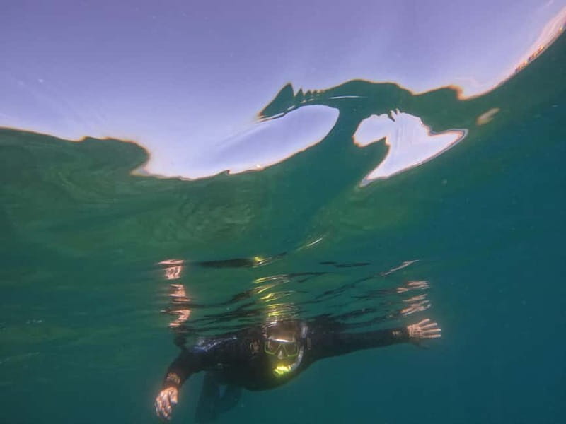 Snorkeling in tenerife south: Discover the underwater world - Why the eight-person limit matters