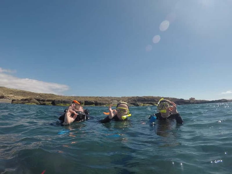 Snorkeling in tenerife south: Discover the underwater world - The family factor, with a few honest limits