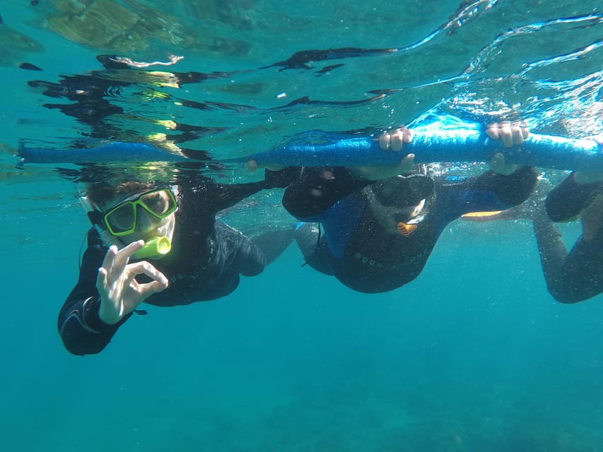 Snorkeling in tenerife south: Discover the underwater world - What can make the experience less satisfying
