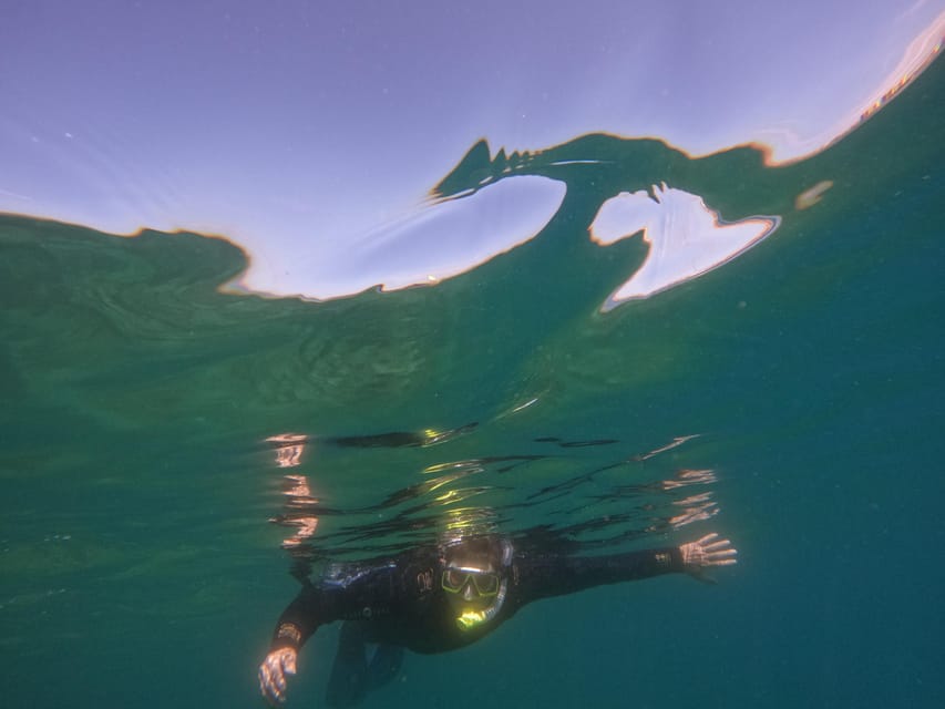 Snorkeling in tenerife south: Discover the underwater world - Should you book this Tenerife snorkeling trip?