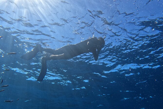 Snorkeling with a Professional Instructor in Tenerife - Why the Los Cristianos site suits beginners