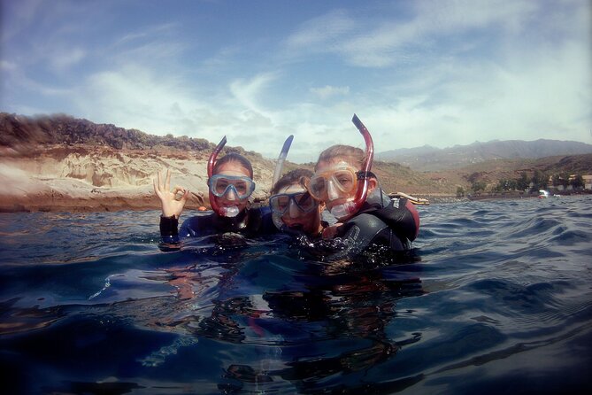 Snorkelling safari in a turtle area - Who will enjoy this outing most?