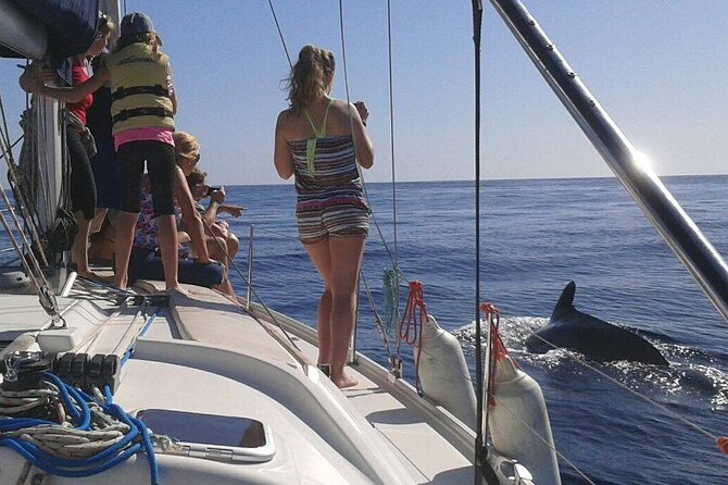 South Coast Tenerife Cruise - Who will enjoy this three-hour sail
