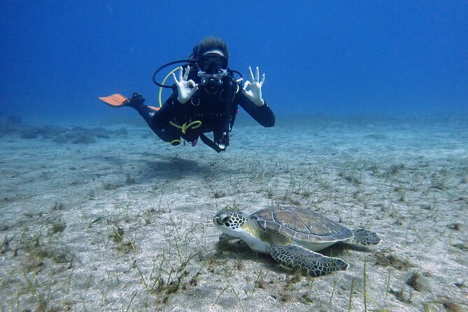 South of Tenerife : DSD Scuba Diving for beginners, Adeje - Key points to know before you book