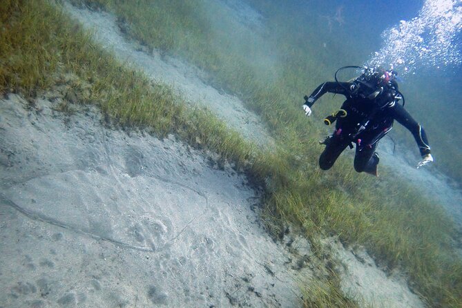 South of Tenerife : DSD Scuba Diving for beginners, Adeje - Breathing through the regulator for the first time