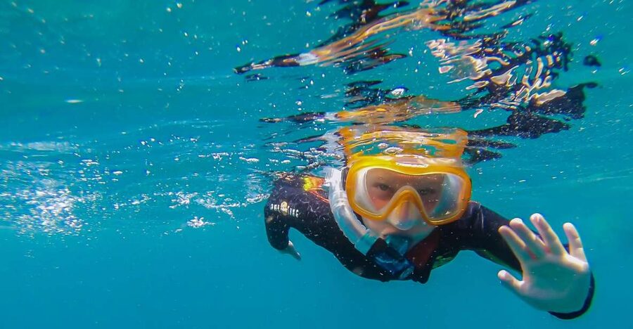 South Tenerife: Guided Snorkeling - What the Two-Hour Outing Looks Like